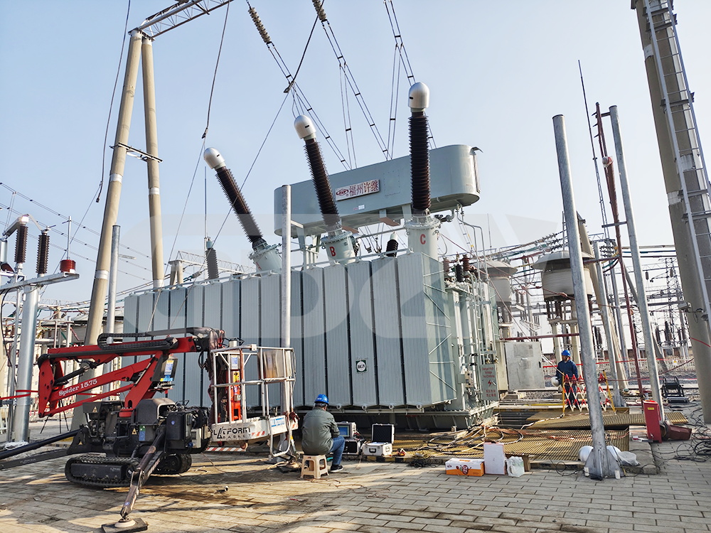 IMG_20251028_153611.JPG IMG_20251028_153611.JPG